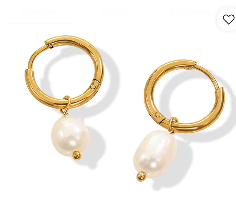 chic earrings