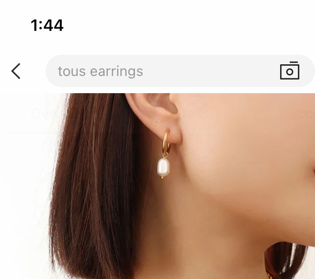 chic earrings