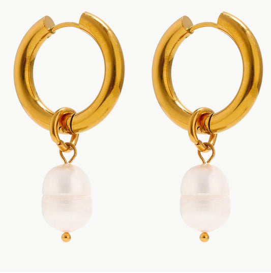 chic earrings