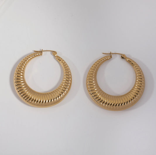 Hoop earrings for women